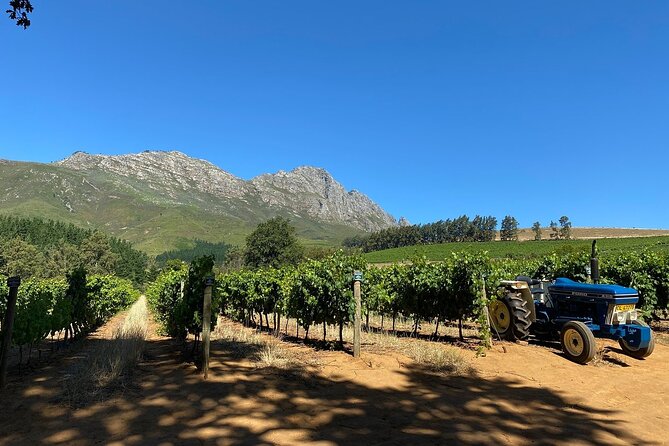 Vine Hopper: Hop-On Hop-Off Wine Tour - Northern Route - Simonsig, a smart place to start