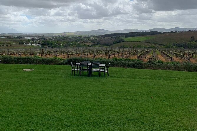 Vine Hopper: Hop-On Hop-Off Wine Tour - Southern Route - What the Southern Route does well