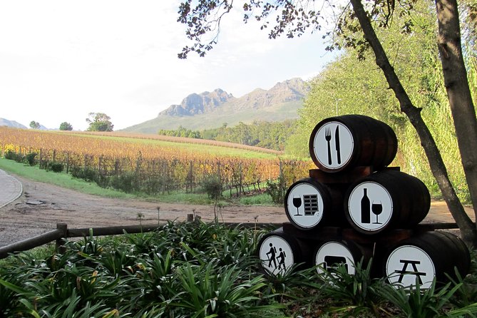Vine Hopper: Hop-On Hop-Off Wine Tour - Southern Route - A day shaped by the driver
