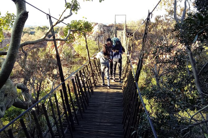 Walk with Elephants Experience plus Monkey Forest Walk - Animal welfare and the character of the visit