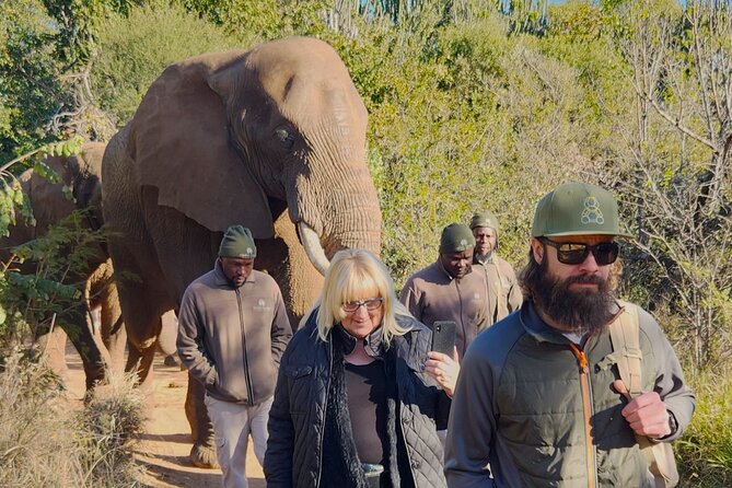 Walk with Elephants Experience plus Monkey Forest Walk - Simple ways to prepare for the day