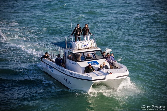 Whale, Dolphin & Penguin Island Cruise - Is the $185.19 price fair?