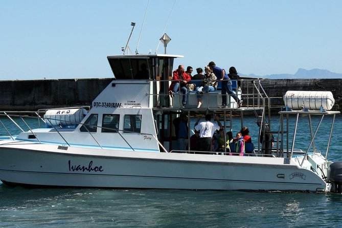 Whale Watching from Gansbaai - What the two-hour boat ride feels like