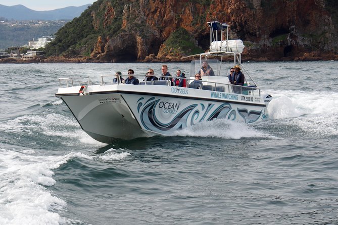 Whale Watching Knysna - Close Encounter Experience Ocean Odyssey - What the close-encounter permit means