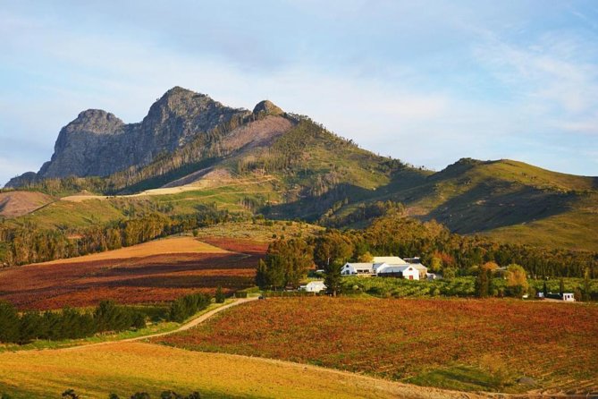 Wine Beer and Biltong Safari - Stellenbosch - Starting with craft beer in the Cape Winelands