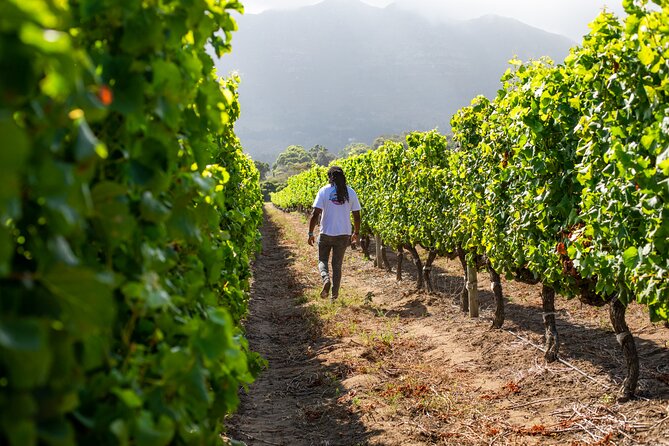 Wine Beer and Biltong Safari - Stellenbosch - Transport from Kloof Street keeps the day simple