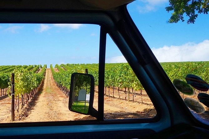 Wine Beer and Biltong Safari - Stellenbosch - Is $105.62 a fair price?