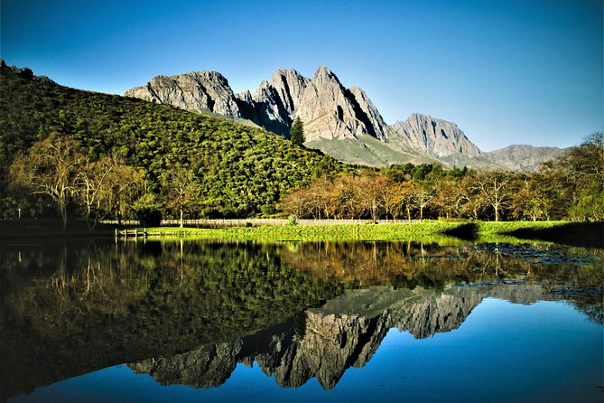 Wine Tour to Stellenbosch & Franschhoek with Tastings & Lunch - Who will enjoy this wine tour most?