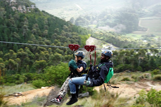 Zipline Cape Town - From Foot of Table Mountain Reserve - Key points before you book