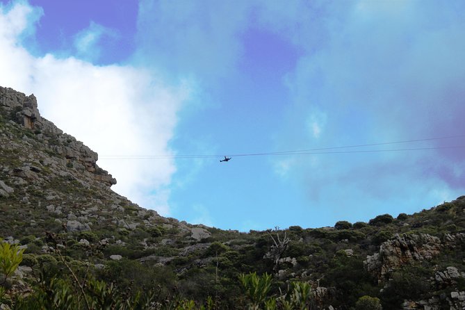 Zipline Cape Town - From Foot of Table Mountain Reserve - Seven cables from a 270-meter opener
